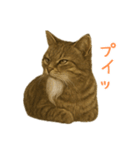 しぶねこ、ひげにゃん2（個別スタンプ：32）