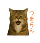 しぶねこ、ひげにゃん2（個別スタンプ：33）