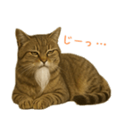 しぶねこ、ひげにゃん2（個別スタンプ：38）