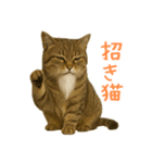 しぶねこ、ひげにゃん2（個別スタンプ：40）