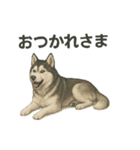 推しワン★ハスキー 一緒に守りたい命（個別スタンプ：30）