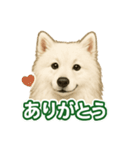 推しワン★サモエド ～届けたい温もり～（個別スタンプ：2）