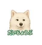 推しワン★サモエド ～届けたい温もり～（個別スタンプ：4）