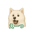 推しワン★サモエド ～届けたい温もり～（個別スタンプ：5）