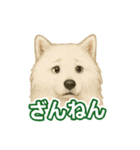 推しワン★サモエド ～届けたい温もり～（個別スタンプ：6）