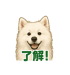 推しワン★サモエド ～届けたい温もり～（個別スタンプ：9）