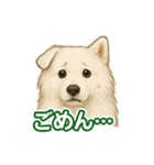 推しワン★サモエド ～届けたい温もり～（個別スタンプ：10）