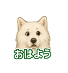 推しワン★サモエド ～届けたい温もり～（個別スタンプ：11）