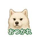 推しワン★サモエド ～届けたい温もり～（個別スタンプ：12）