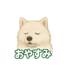 推しワン★サモエド ～届けたい温もり～（個別スタンプ：13）