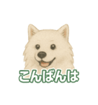 推しワン★サモエド ～届けたい温もり～（個別スタンプ：15）