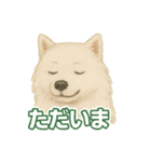 推しワン★サモエド ～届けたい温もり～（個別スタンプ：16）