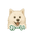 推しワン★サモエド ～届けたい温もり～（個別スタンプ：19）