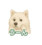推しワン★サモエド ～届けたい温もり～（個別スタンプ：20）