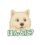 推しワン★サモエド ～届けたい温もり～（個別スタンプ：21）