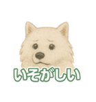 推しワン★サモエド ～届けたい温もり～（個別スタンプ：22）
