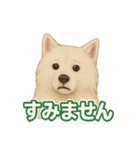 推しワン★サモエド ～届けたい温もり～（個別スタンプ：24）