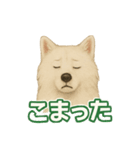 推しワン★サモエド ～届けたい温もり～（個別スタンプ：25）