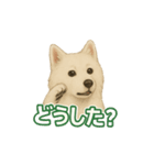 推しワン★サモエド ～届けたい温もり～（個別スタンプ：26）