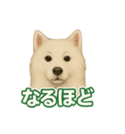 推しワン★サモエド ～届けたい温もり～（個別スタンプ：27）