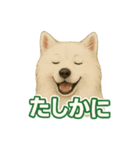 推しワン★サモエド ～届けたい温もり～（個別スタンプ：28）