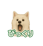推しワン★サモエド ～届けたい温もり～（個別スタンプ：29）