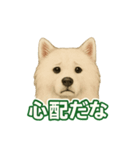推しワン★サモエド ～届けたい温もり～（個別スタンプ：32）