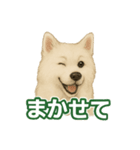 推しワン★サモエド ～届けたい温もり～（個別スタンプ：34）