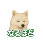 推しワン★サモエド ～届けたい温もり～（個別スタンプ：35）