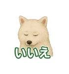 推しワン★サモエド ～届けたい温もり～（個別スタンプ：36）