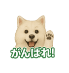 推しワン★サモエド ～届けたい温もり～（個別スタンプ：37）