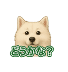 推しワン★サモエド ～届けたい温もり～（個別スタンプ：38）