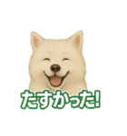 推しワン★サモエド ～届けたい温もり～（個別スタンプ：39）