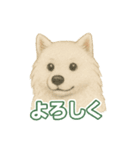 推しワン★サモエド ～届けたい温もり～（個別スタンプ：40）
