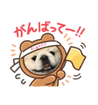 ぼく、どんべえ！！！（個別スタンプ：11）