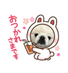 ぼく、どんべえ！！！（個別スタンプ：12）