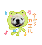 ぼく、どんべえ！！！（個別スタンプ：13）