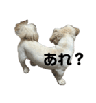 ぼく、どんべえ！！！（個別スタンプ：26）