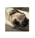 パグのうめちゃん！4（個別スタンプ：16）