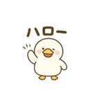 まるまるアヒルの夏のスタンプ（個別スタンプ：1）