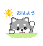 灰色柴犬マランちゃん～毎日が楽しい！（個別スタンプ：1）