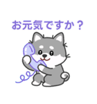 灰色柴犬マランちゃん～毎日が楽しい！（個別スタンプ：2）