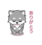 灰色柴犬マランちゃん～毎日が楽しい！（個別スタンプ：3）
