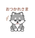 灰色柴犬マランちゃん～毎日が楽しい！（個別スタンプ：4）
