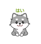 灰色柴犬マランちゃん～毎日が楽しい！（個別スタンプ：5）