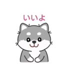 灰色柴犬マランちゃん～毎日が楽しい！（個別スタンプ：6）