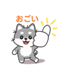 灰色柴犬マランちゃん～毎日が楽しい！（個別スタンプ：8）