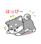 灰色柴犬マランちゃん～毎日が楽しい！（個別スタンプ：11）