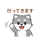 灰色柴犬マランちゃん～毎日が楽しい！（個別スタンプ：12）
