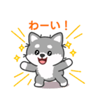 灰色柴犬マランちゃん～毎日が楽しい！（個別スタンプ：16）
